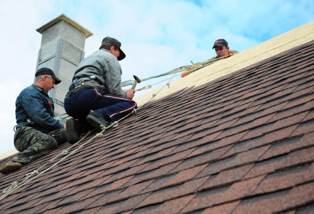 Best Roof Waterproofing Services  in Central Park, WA