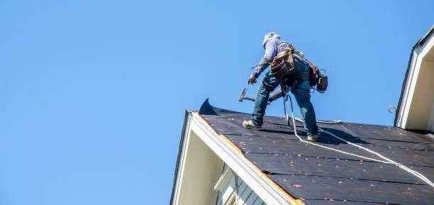 Best Roof Leak Repair  in Central Park, WA